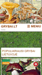 Mobile Screenshot of grybai.lt